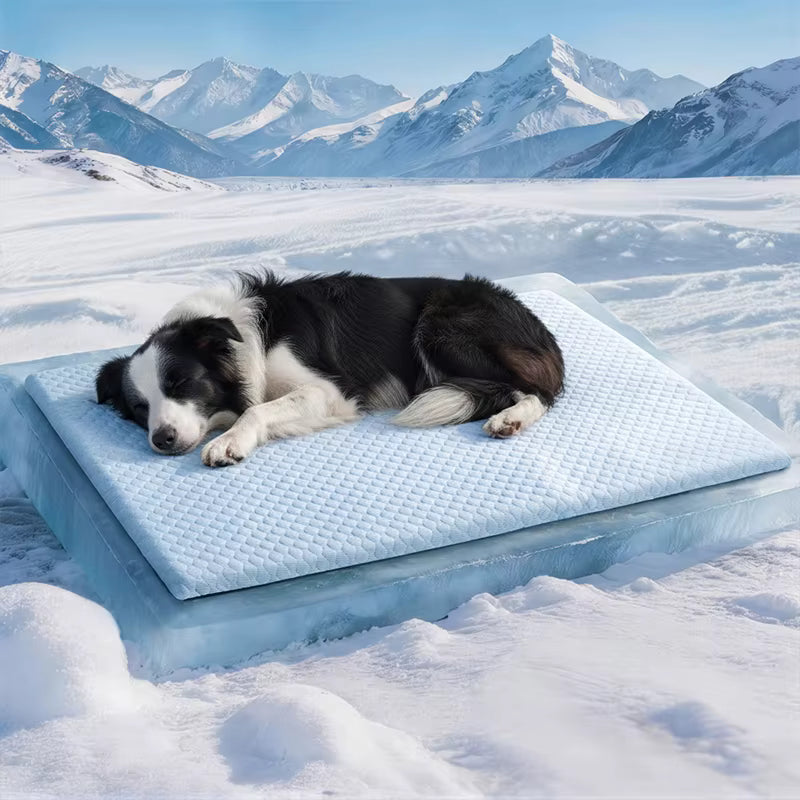 PoteKøl™ Holder dit kæledyr køligt hele sommeren.