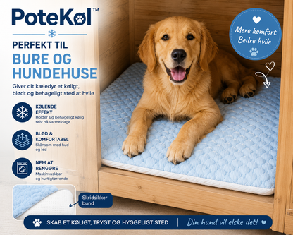 PoteKøl™ Holder dit kæledyr køligt hele sommeren.
