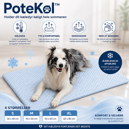 PoteKøl™ Holder dit kæledyr køligt hele sommeren.