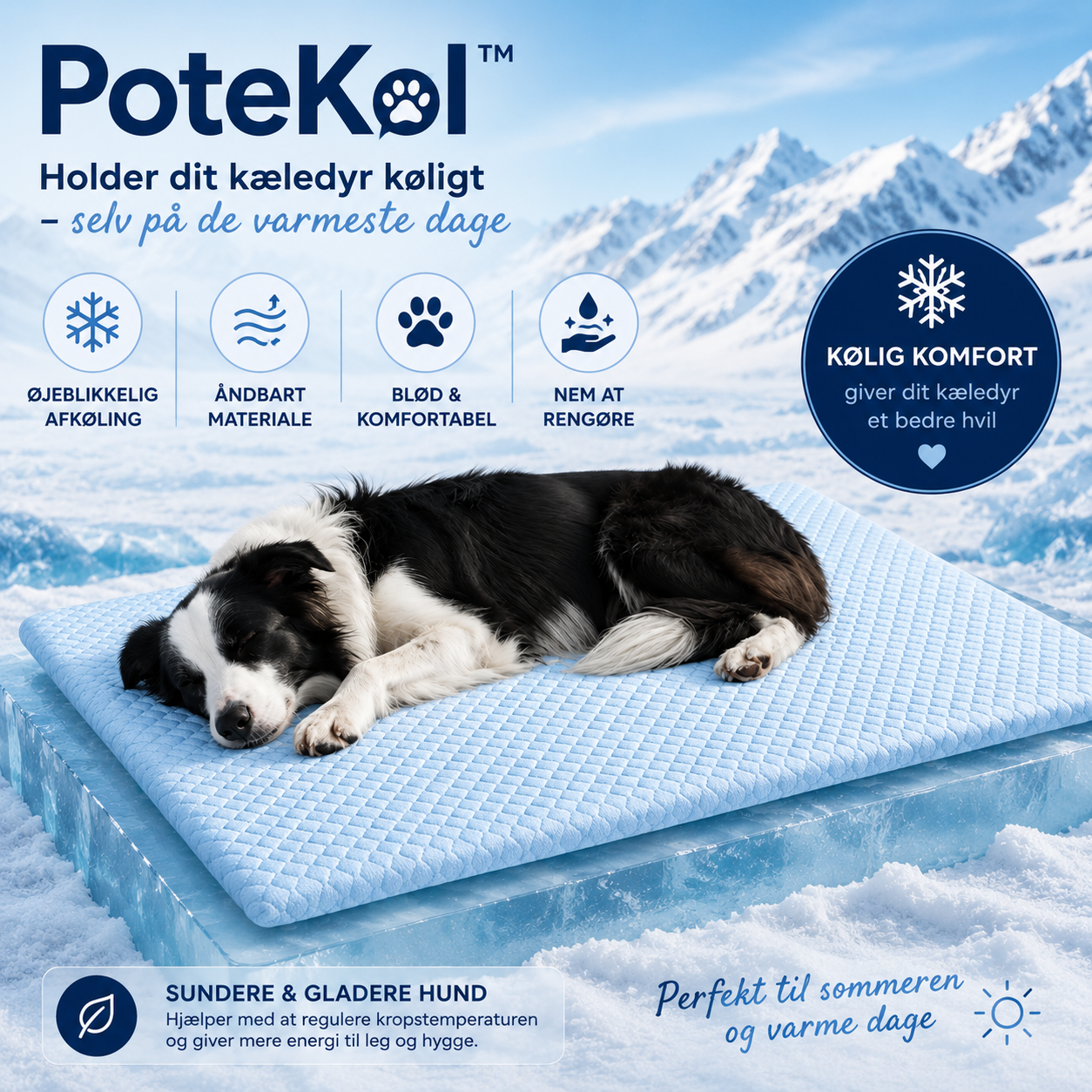 PoteKøl™ Holder dit kæledyr køligt hele sommeren.