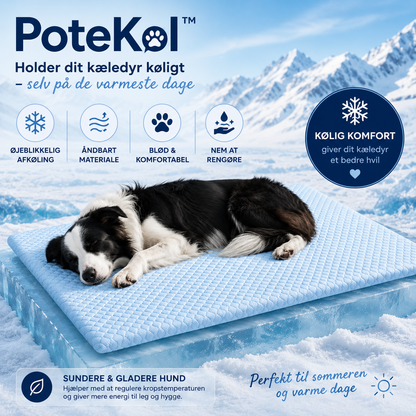 PoteKøl™ Holder dit kæledyr køligt hele sommeren.