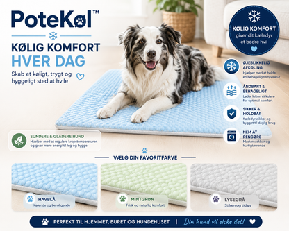 PoteKøl™ Holder dit kæledyr køligt hele sommeren.